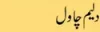 daleem-chawal